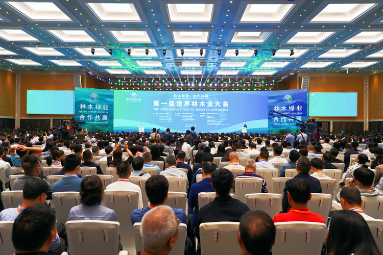 《第一届世界林木业大会》